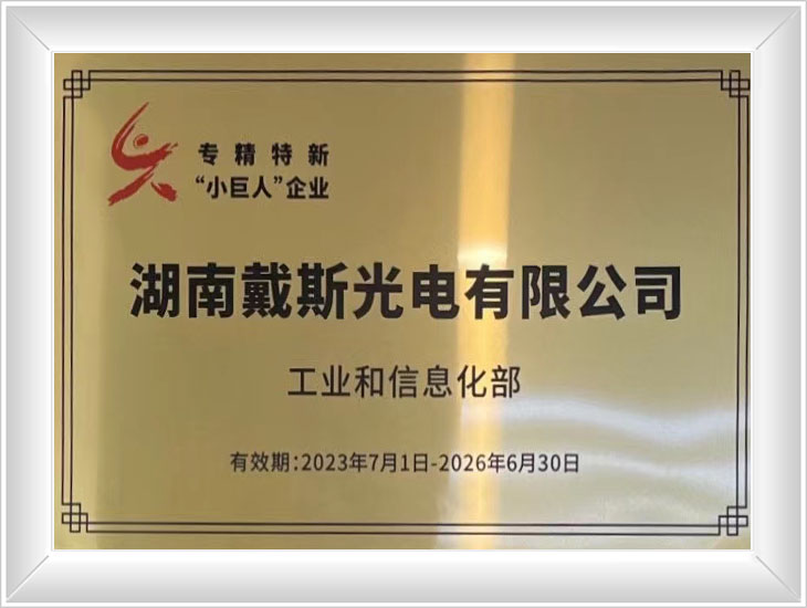 國家專精特新小巨人企業(yè)