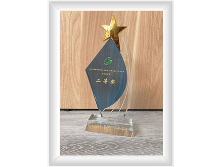 創(chuàng)新創(chuàng)業(yè)大賽二等獎獎杯